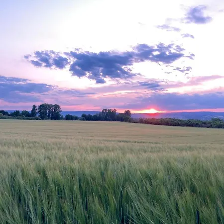 Heni Apartamento Gau-Algesheim