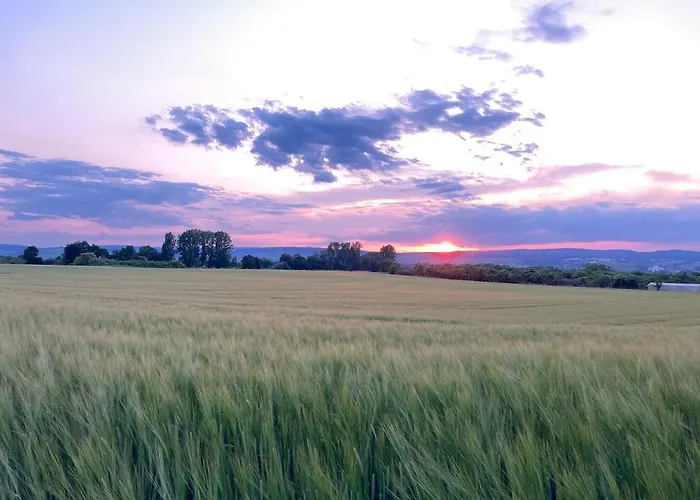 Heni 아파트 Gau-Algesheim